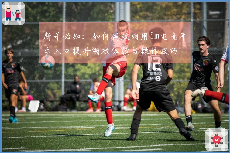 新手必知：如何高效利用im电竞平台入口提升游戏体验与操作技巧